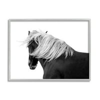 Фотографија на коњички фотографии со модерни коњи со модерна коњска црна бела, 11, дизајн од Саманта Картер