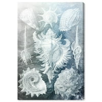 Авенија на пистата Наутичка и крајбрежна wallидна уметност платно го отпечати морскиот живот на морските накит - Бело, сиво