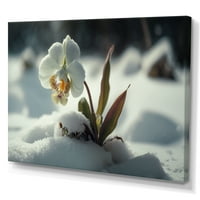 Дизајн на цветен бел орхидеј цвет во зима јас платно wallидна уметност