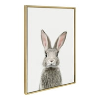 Кејт и Лорел Силви женски бебе зајаче зајаче за зајак, печатење на животни, врамени платно wallидна уметност од Ејми Петерсон,