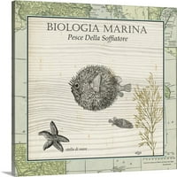 Биологија Марина II